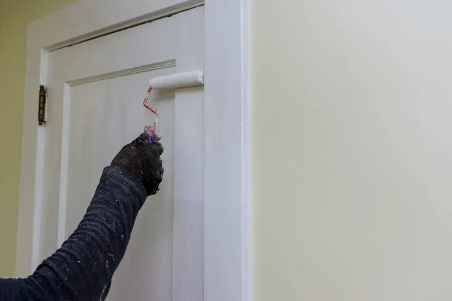 Choosing the Right Paint Finish for Interior Doors Tyler, TX